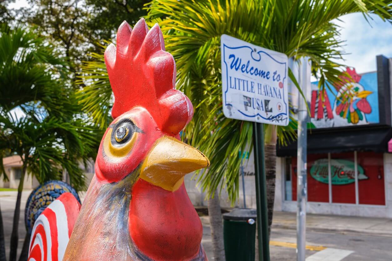 little havana