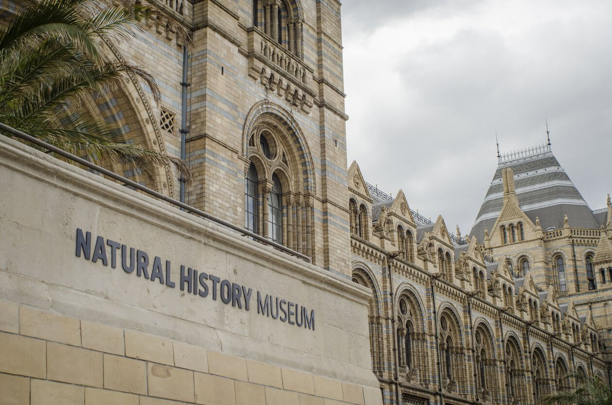 natural history museum kensington londres