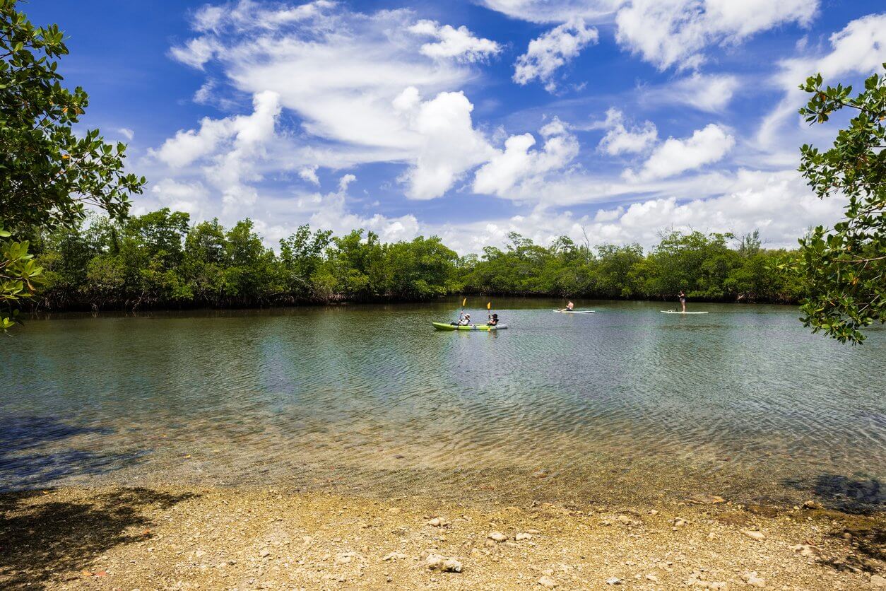 oleta river state park kayak