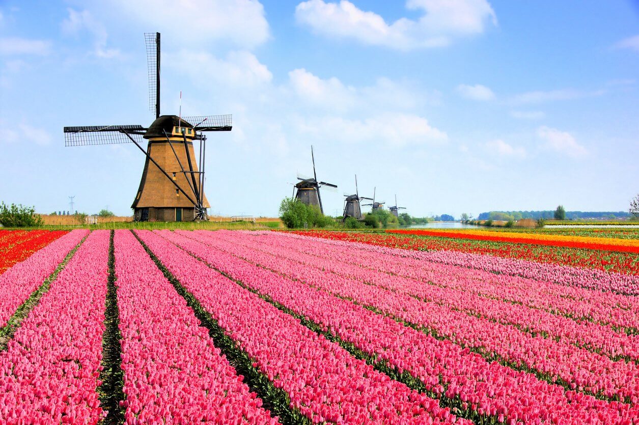 parc keukenhof