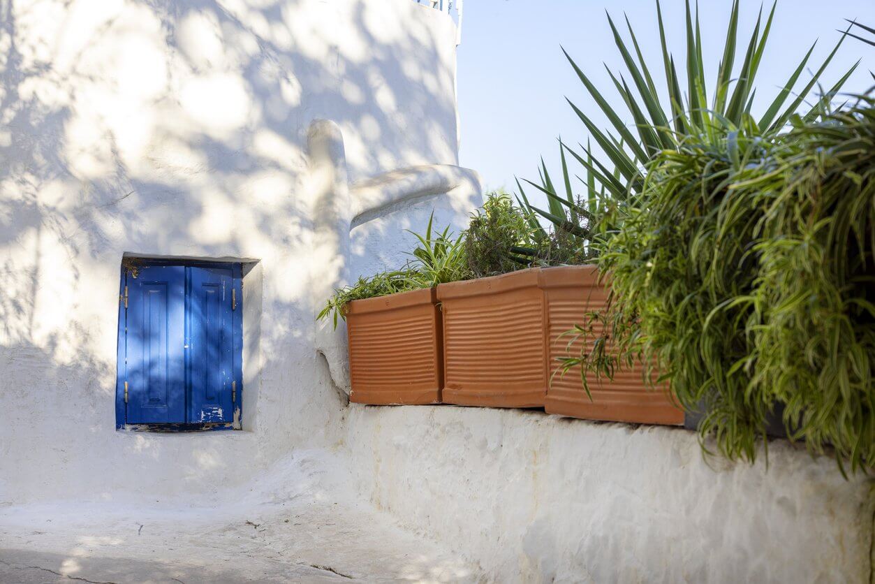 quartier historique plaka rues etroites athenes grece