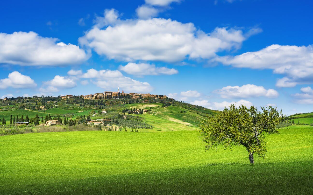 village medieval de pienza et un arbre. sienne val dorcia toscane italie