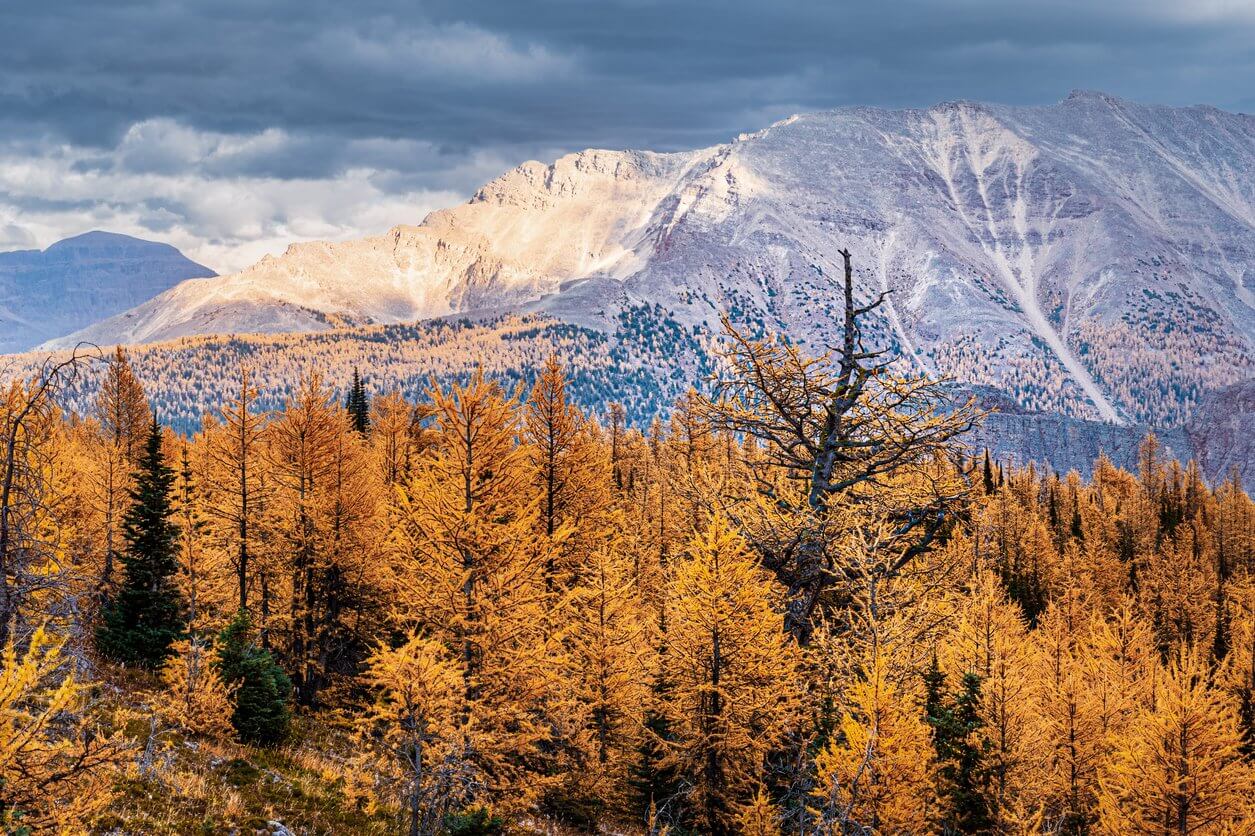 banff canada automne