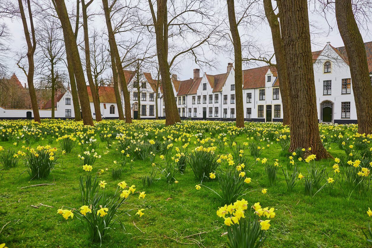 bruges beguinage