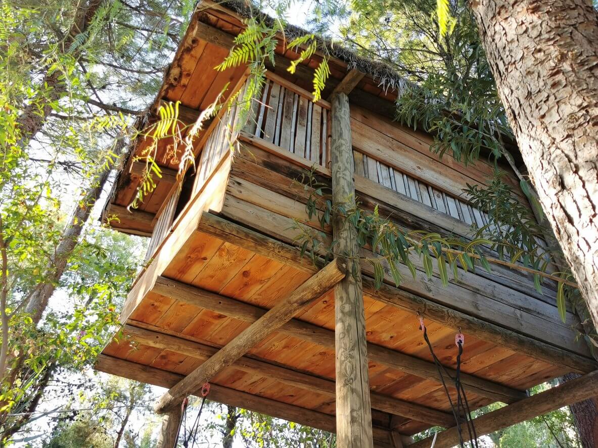 cabane arbres