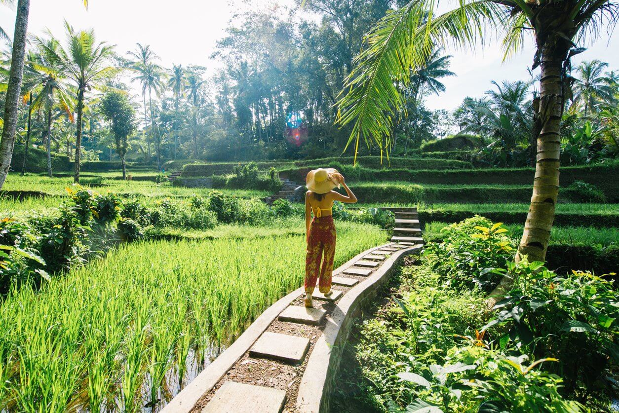 femme a la terrasse de riz de tegalalang a bali