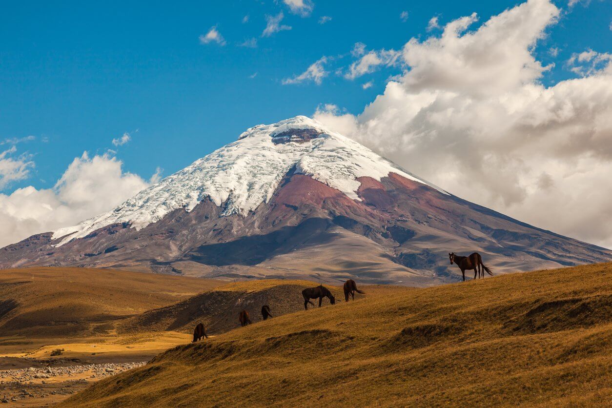 parc national de cotopaxi