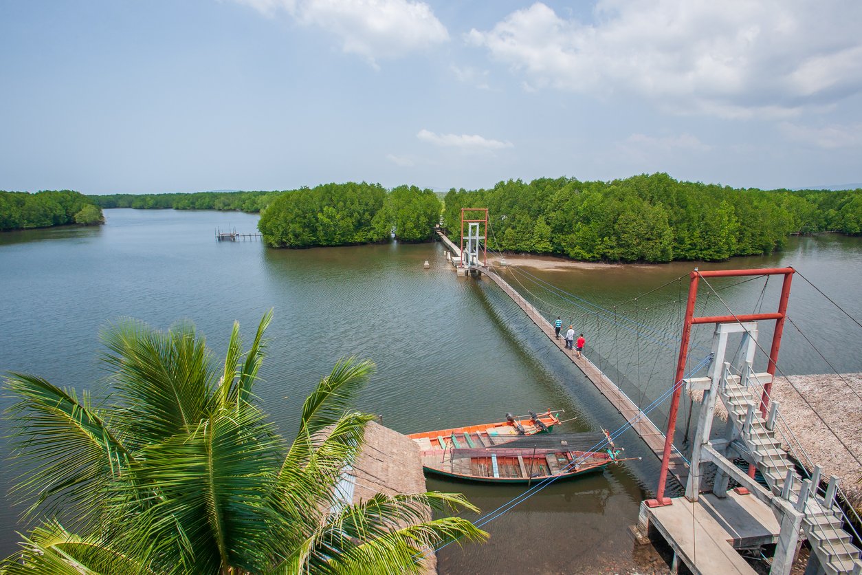 Aerial view, scenic landscape of mangrove forest, a group of tourists going over the suspension bridge over the river. Koh Kong, Cambodia.