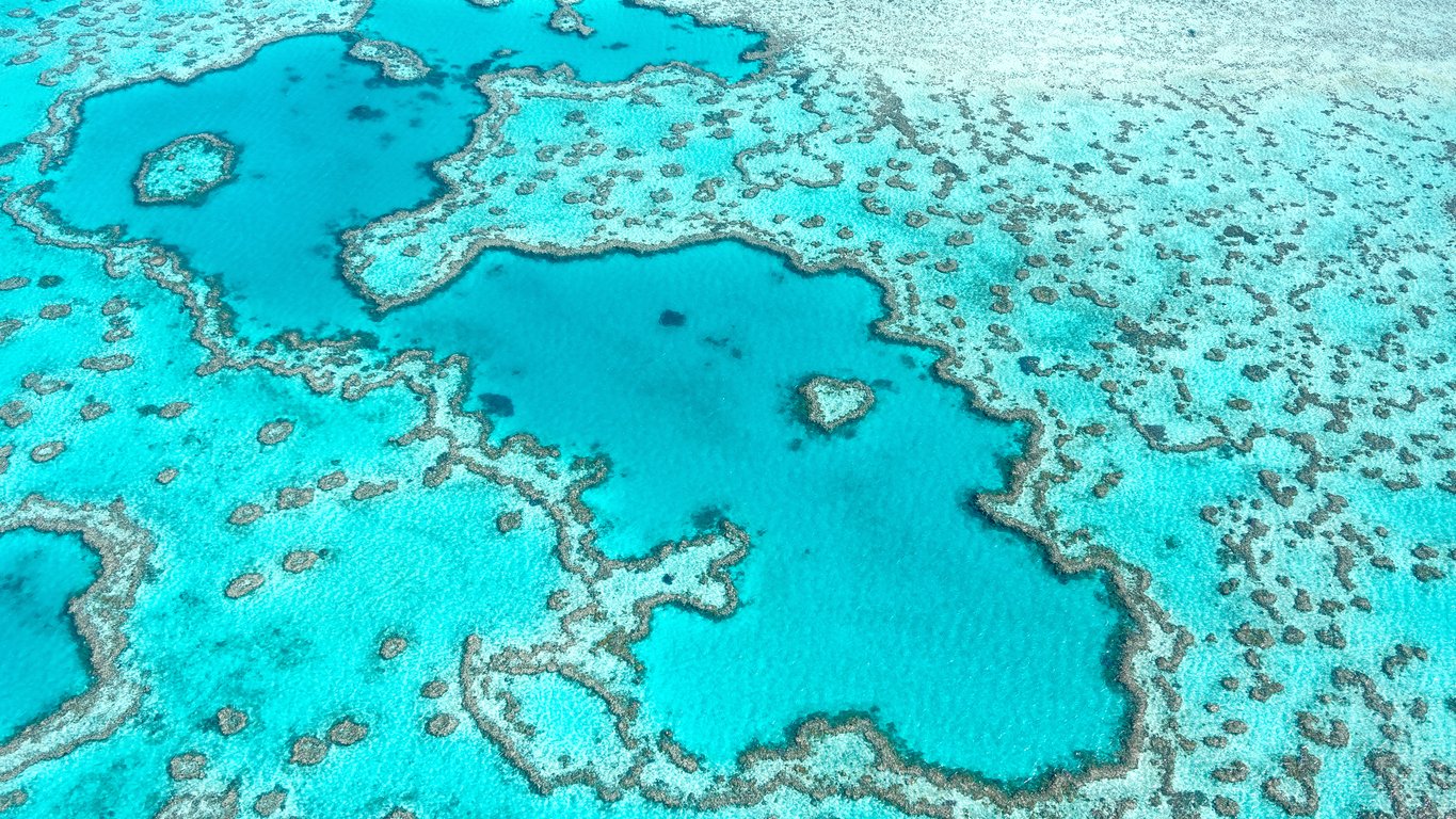 Grande Barrière de Corail dans le Queensland