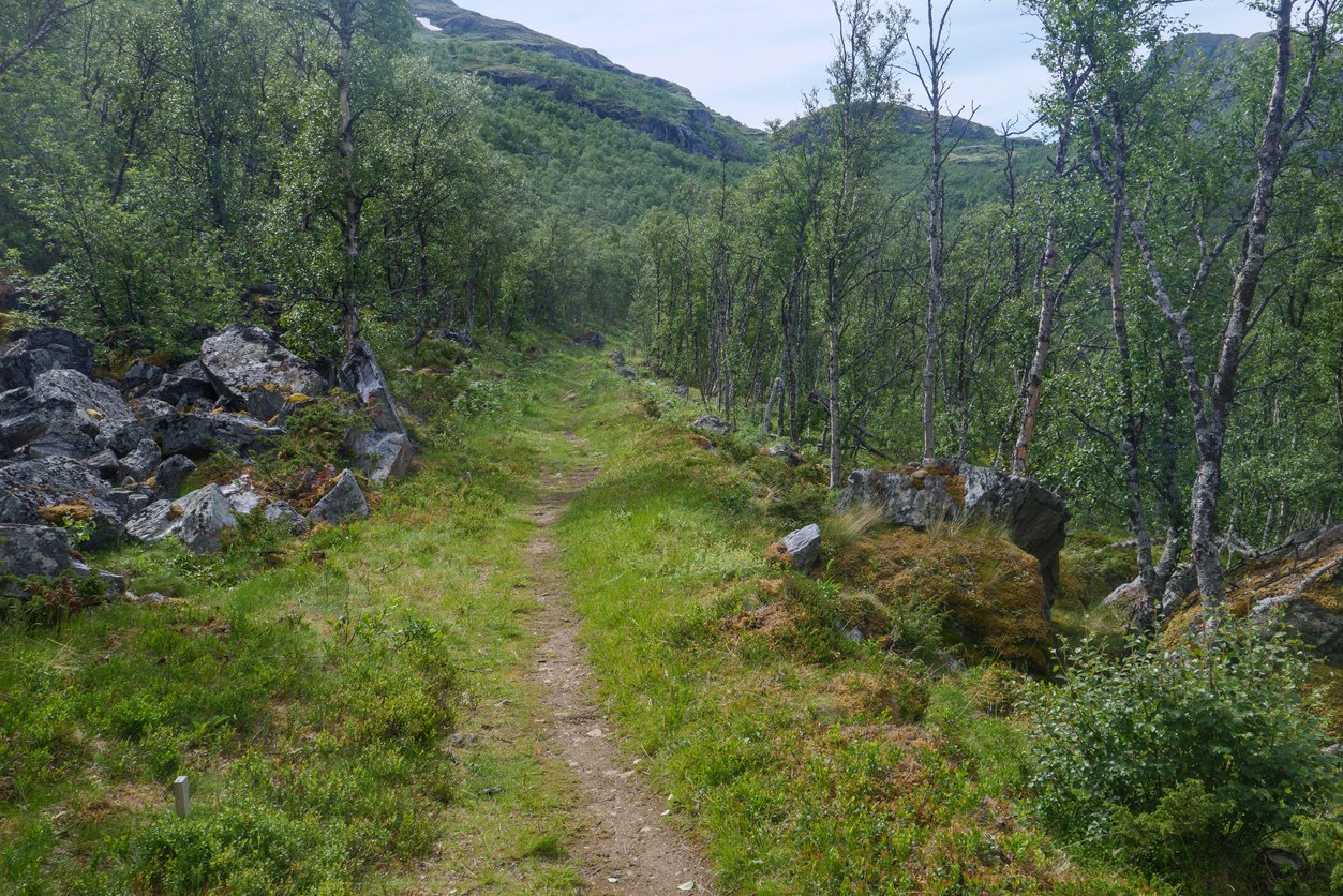 Parc national de Dovrefjell en Norvège