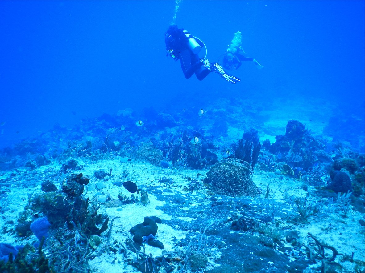 Scuba diving, Mexico