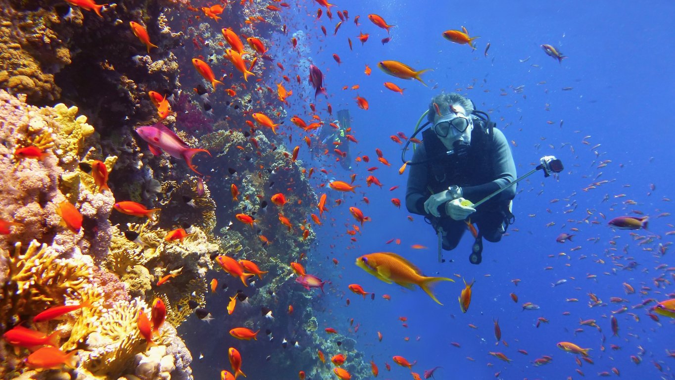 Man scuba diver near beautiful coral wall with tropical fish