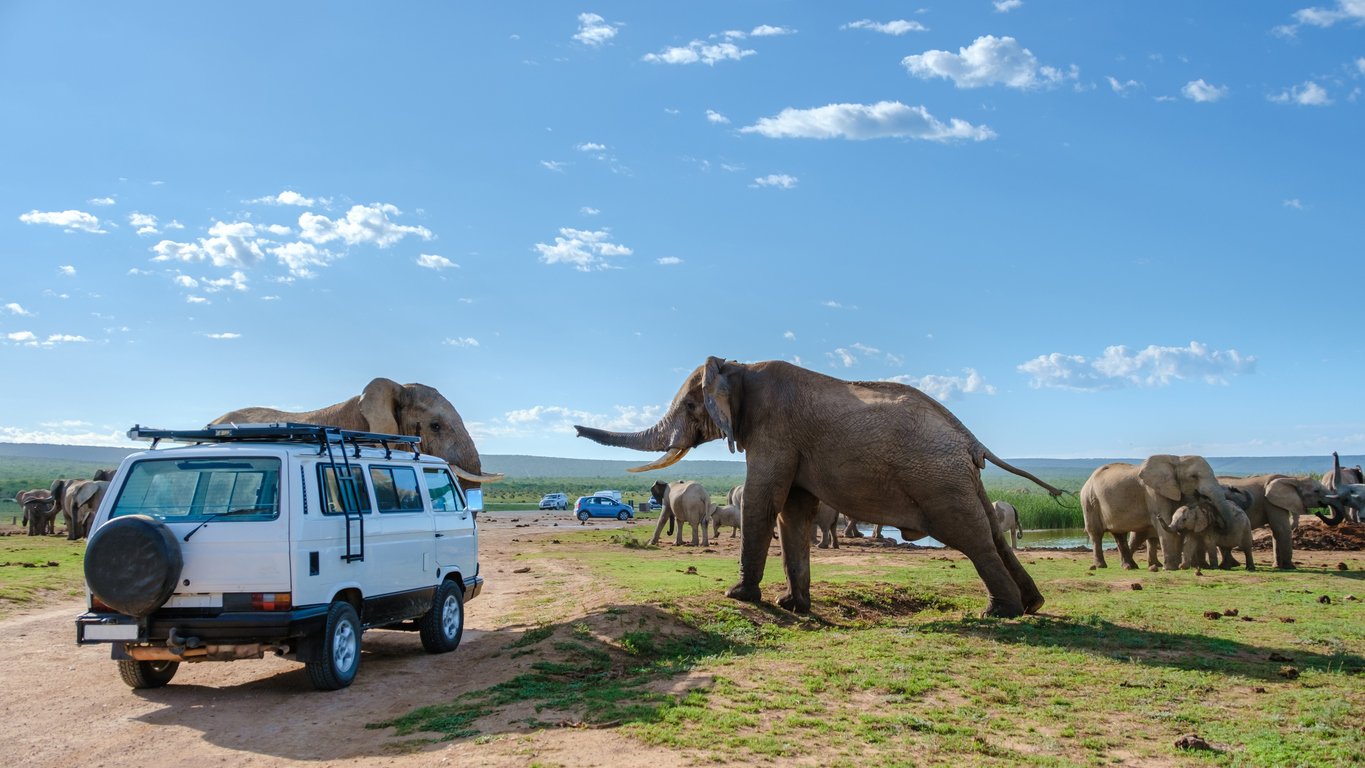 Addo Elephant Park Afrique du Sud