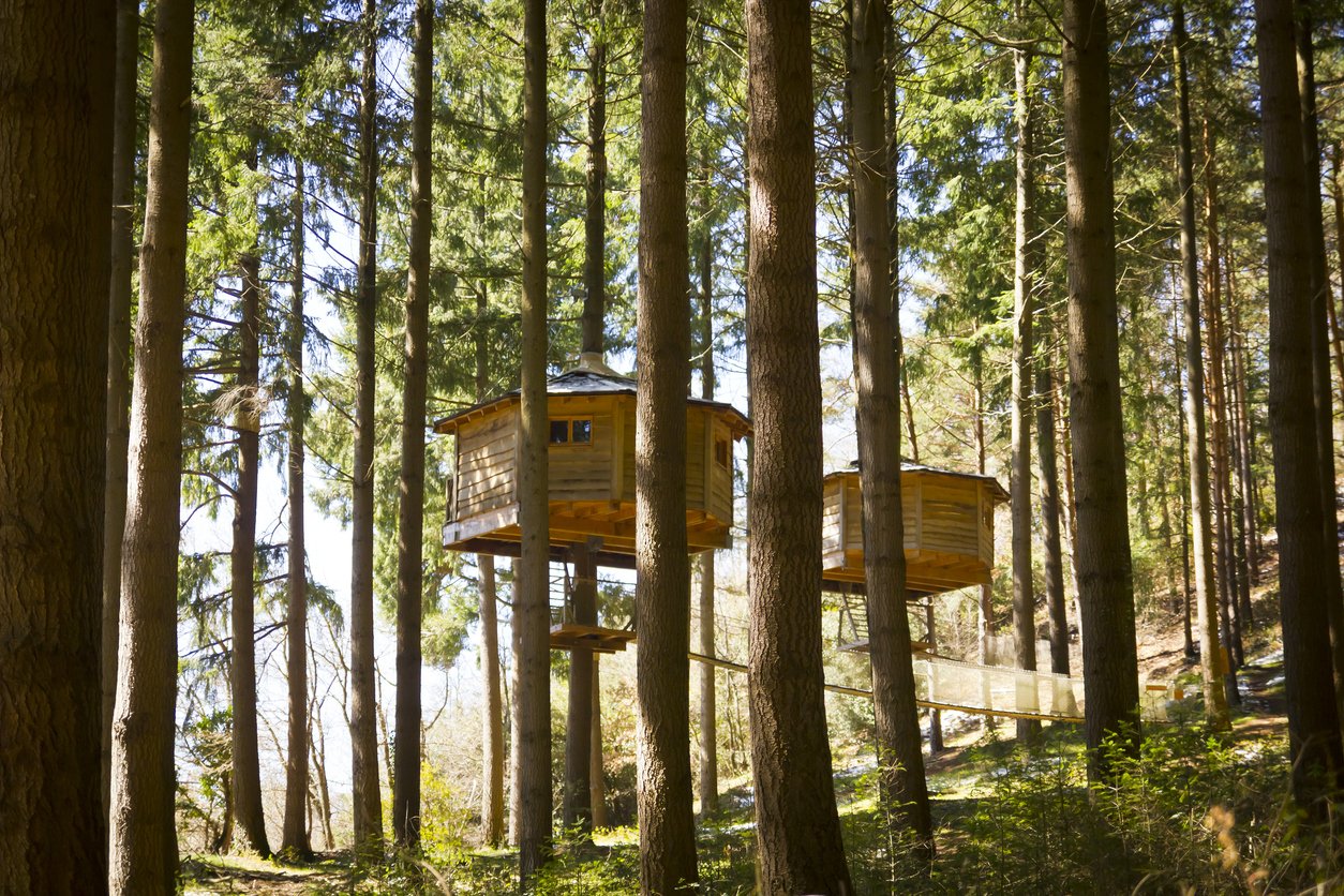 Cabanes dans les arbres