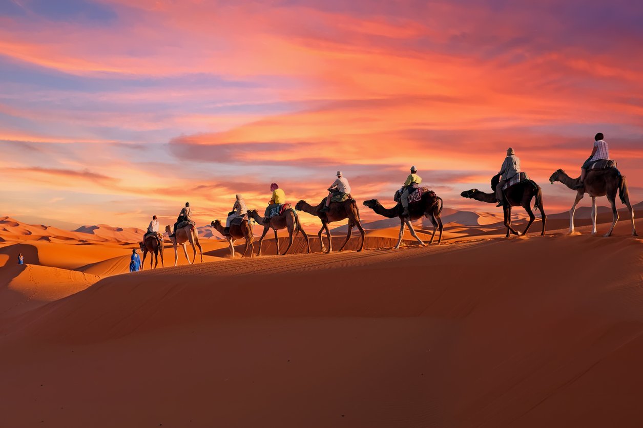 Caravane de chameaux traversant le désert du Sahara au Maroc au coucher du soleil