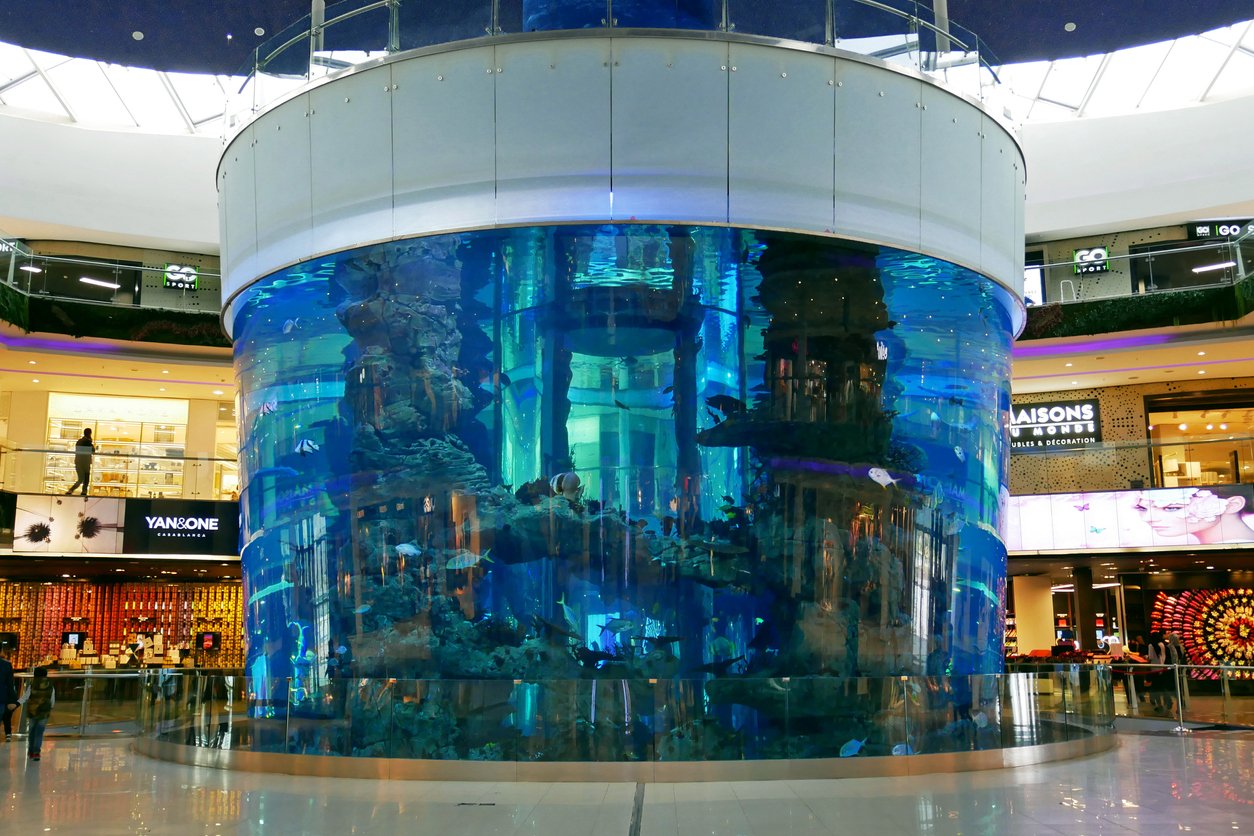 Grand aquarium dans Morocco Mall, Casablanca, Maroc