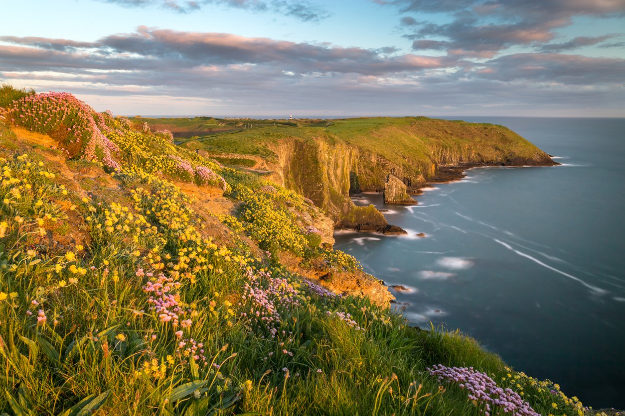 l'Irlande au printemps