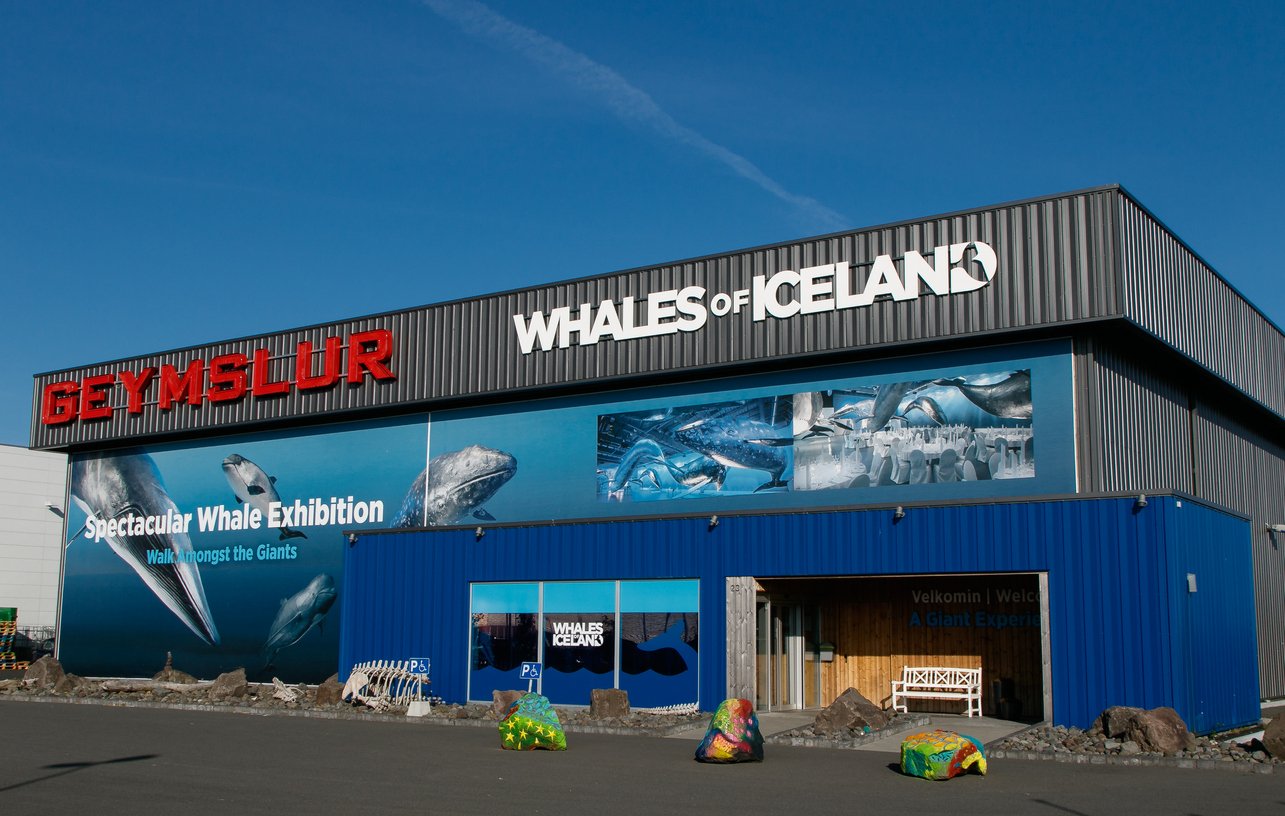 Musée Baleines de l’Islande