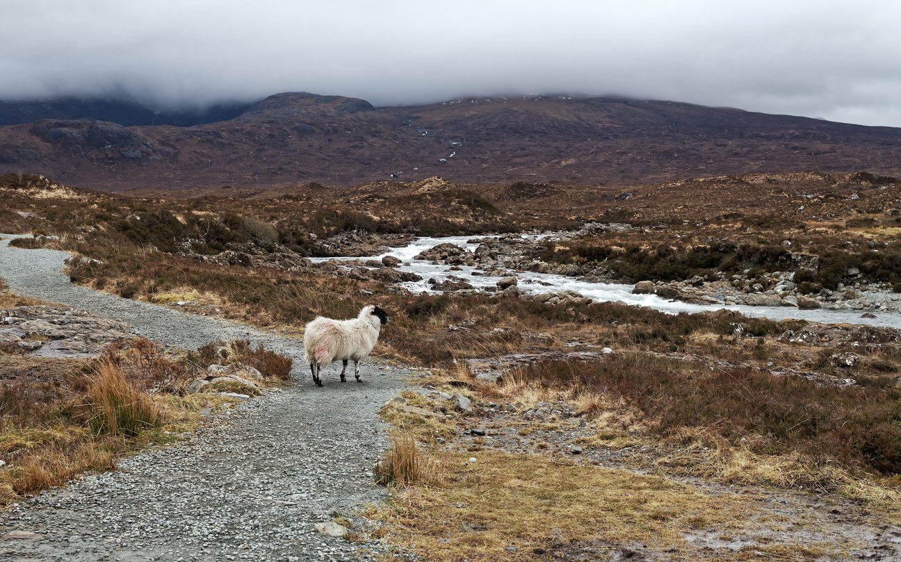 Scottish landscape