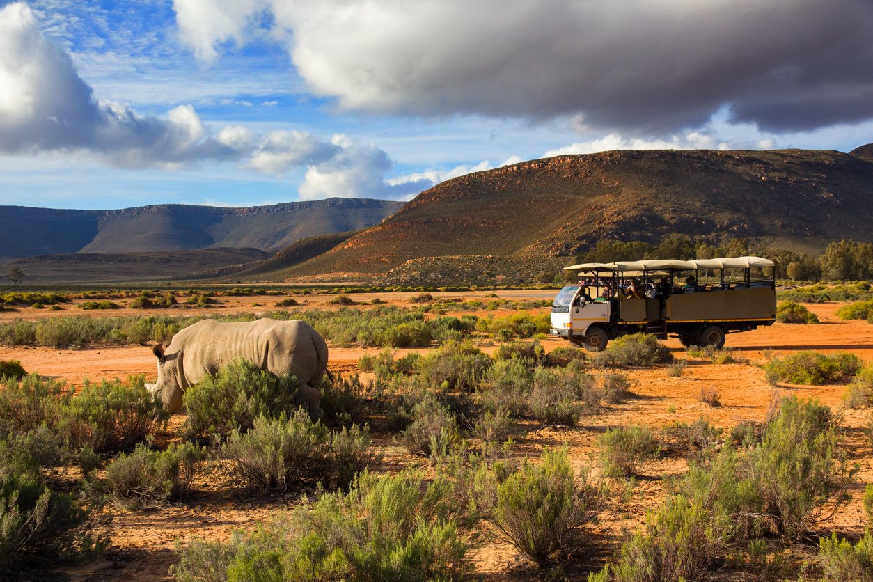 Safari dans Western Cape Afrique du Sud