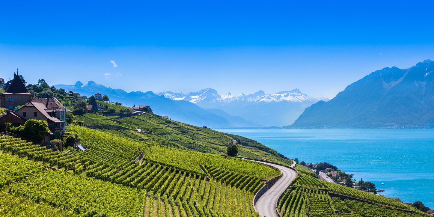 Vignobles en région de Lavaux