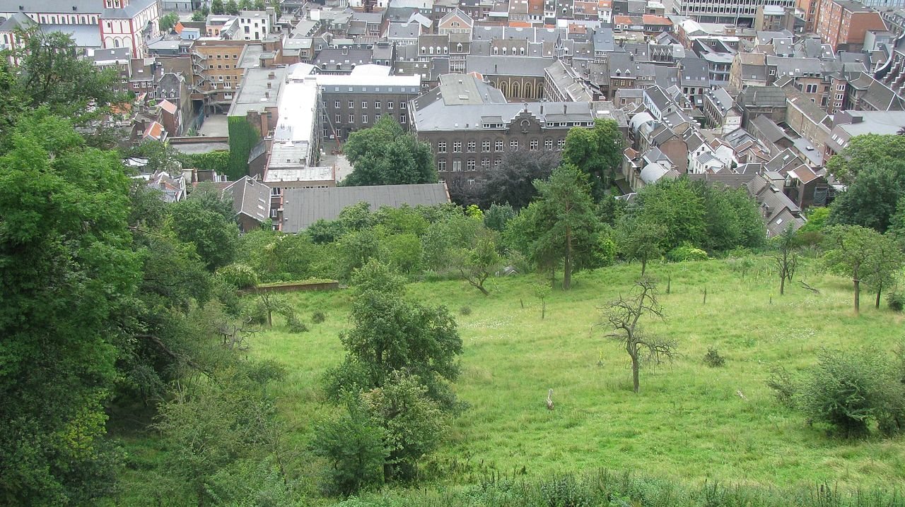Coteaux de la Citadelle de Liège