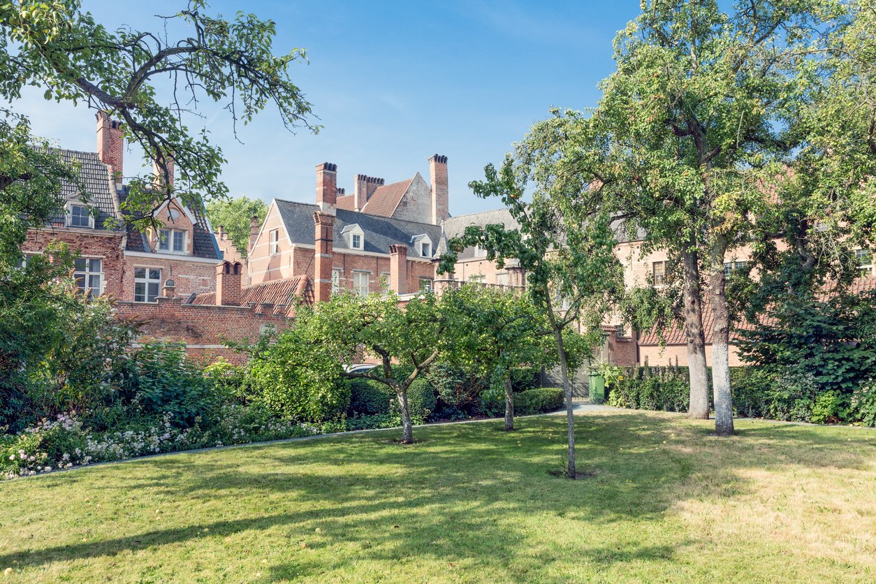 Cour intérieure avec des maisons historiques de Béguinage à Anvers, en Belgique