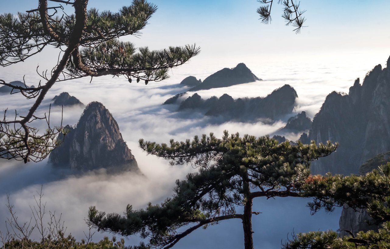 pin aux sommets de montagne du parc national de Huangshan, Chine