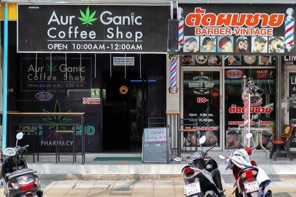 Cannabis en Thaïlande : est-ce toujours légal ?