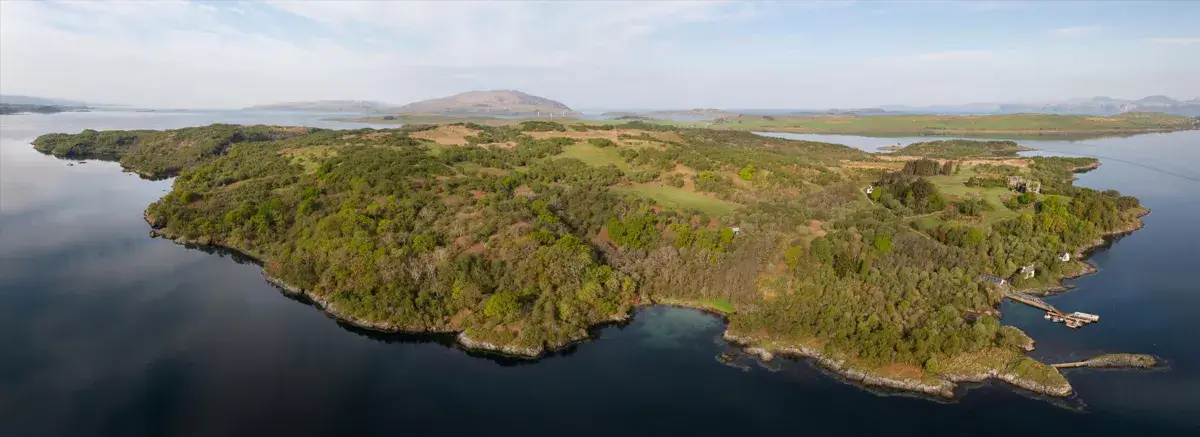 561e4c95 5298 4012 b647 2eeb49379554 0