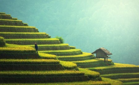 politiques touristiques