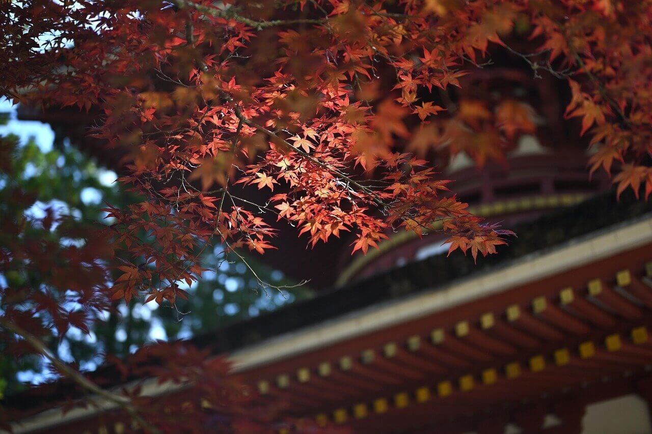 koyasan japan temple 6584637