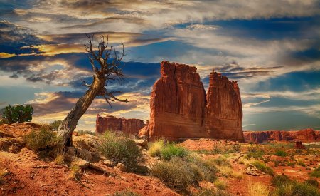 augmentation du Pass America the Beautiful