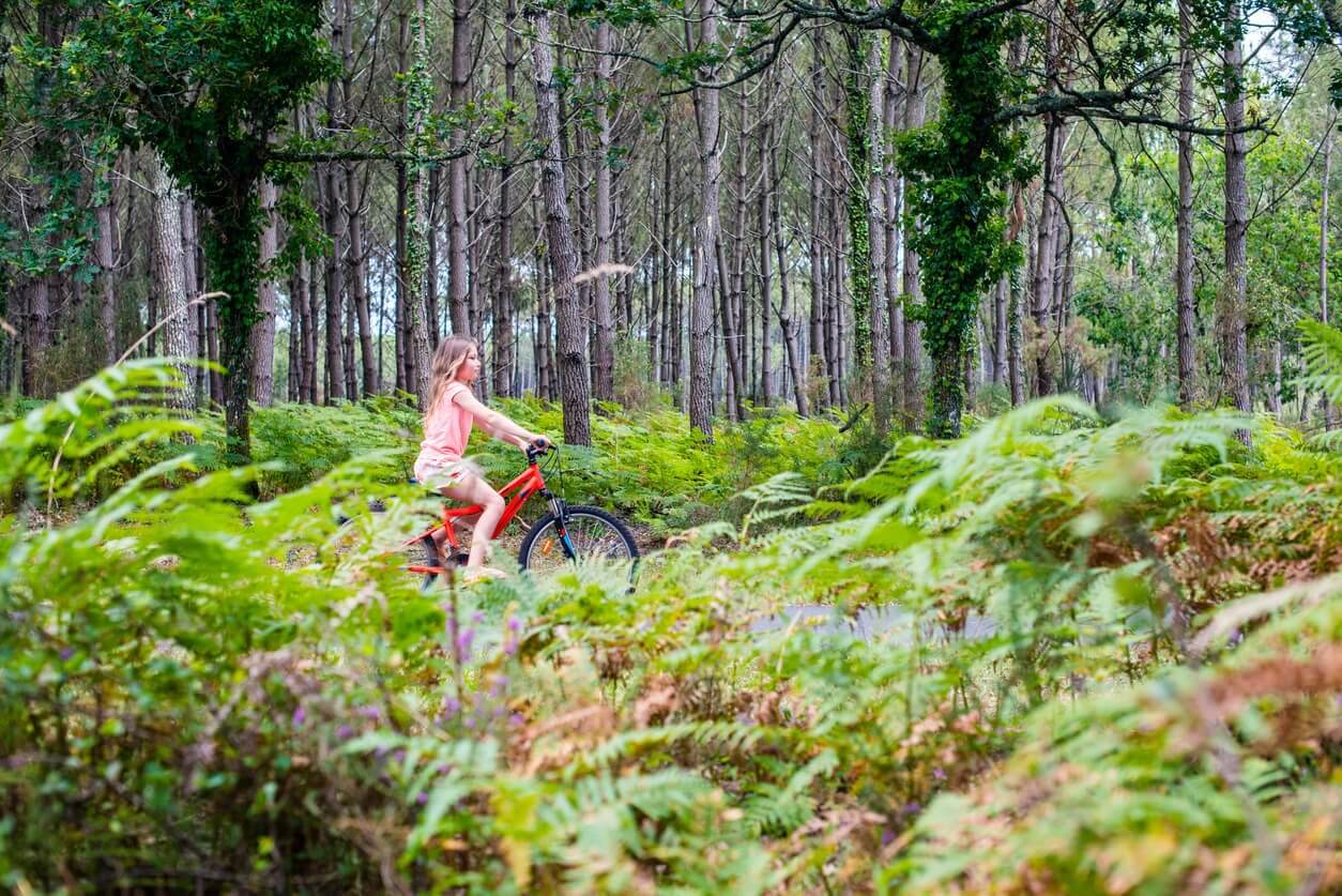Landes : comment trouver la location de vacances idéale entre océan, forêt et villages authentiques 1 landes circuit de navarrosse au depart de biscarrosse 872