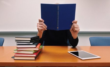 séjours linguistiques pour adultes