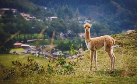 meilleure destination d’Amérique du Sud