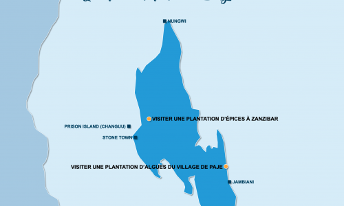 Carte Zanzibar : En famille à Zanzibar