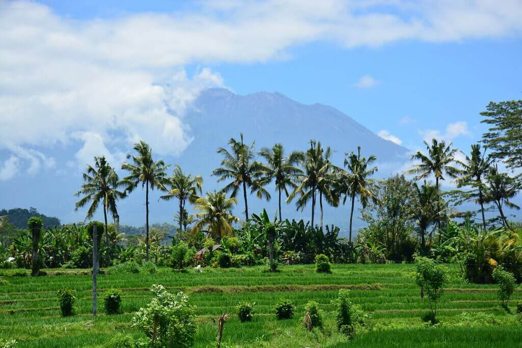 Quand partir à Bali ? Notre guide de voyage