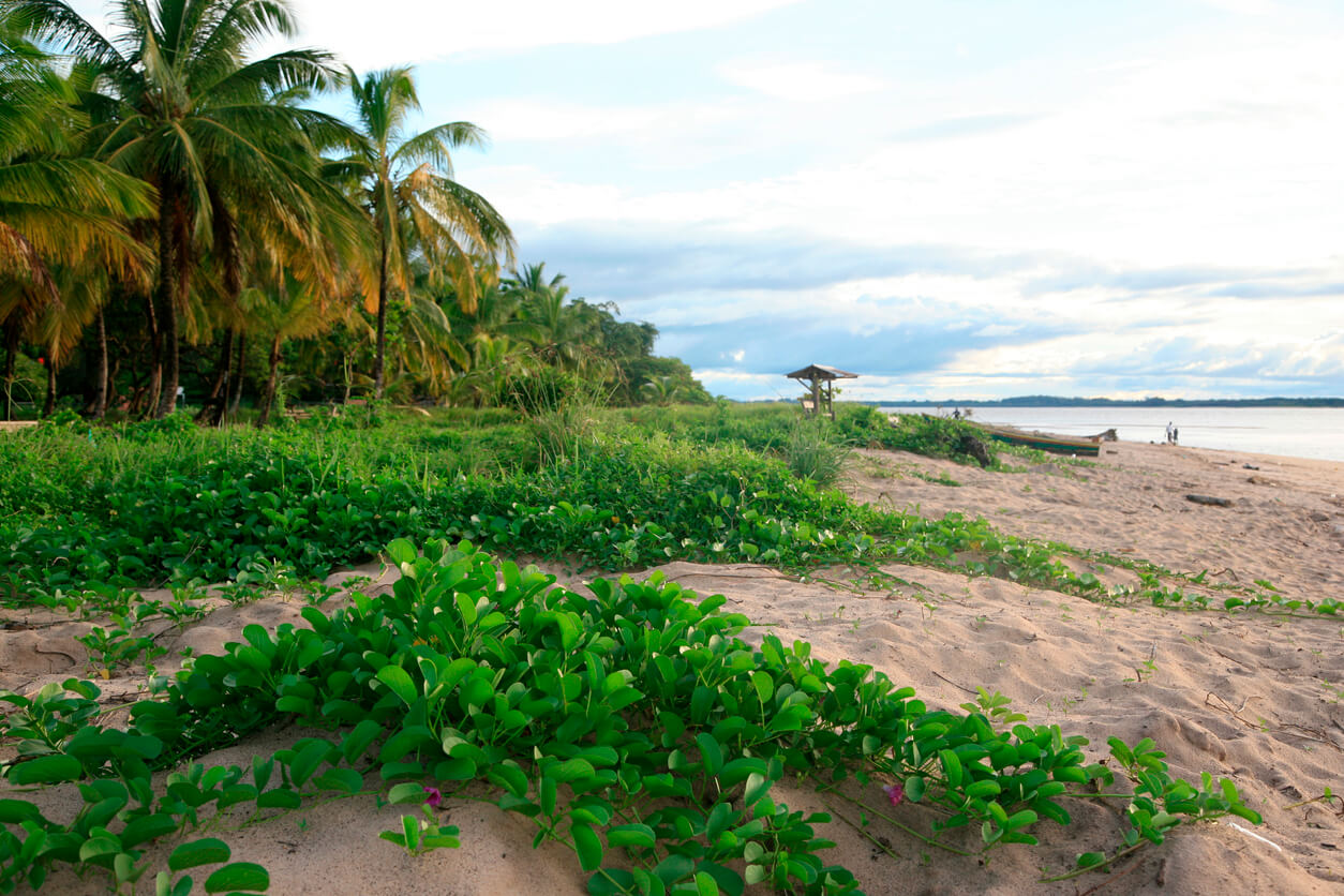 Quand Partir en Guyane ? Climat, Température, Météo, Saisons…