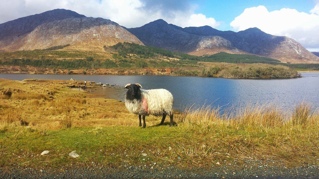 Quand partir en Irlande ? Guide de voyage