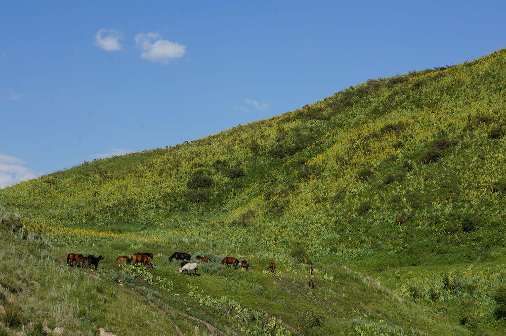 Jalal-Abad Jalal-Abad