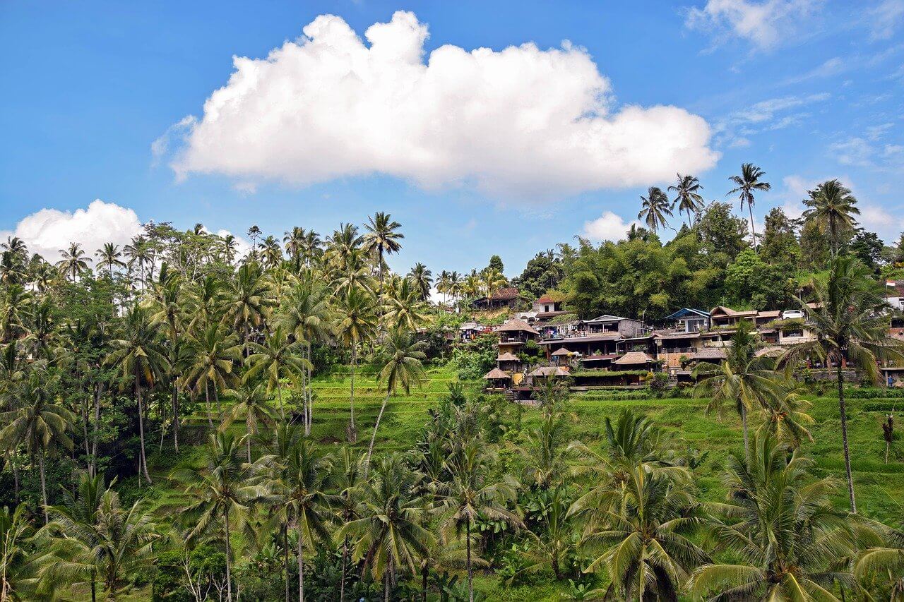 Ubud