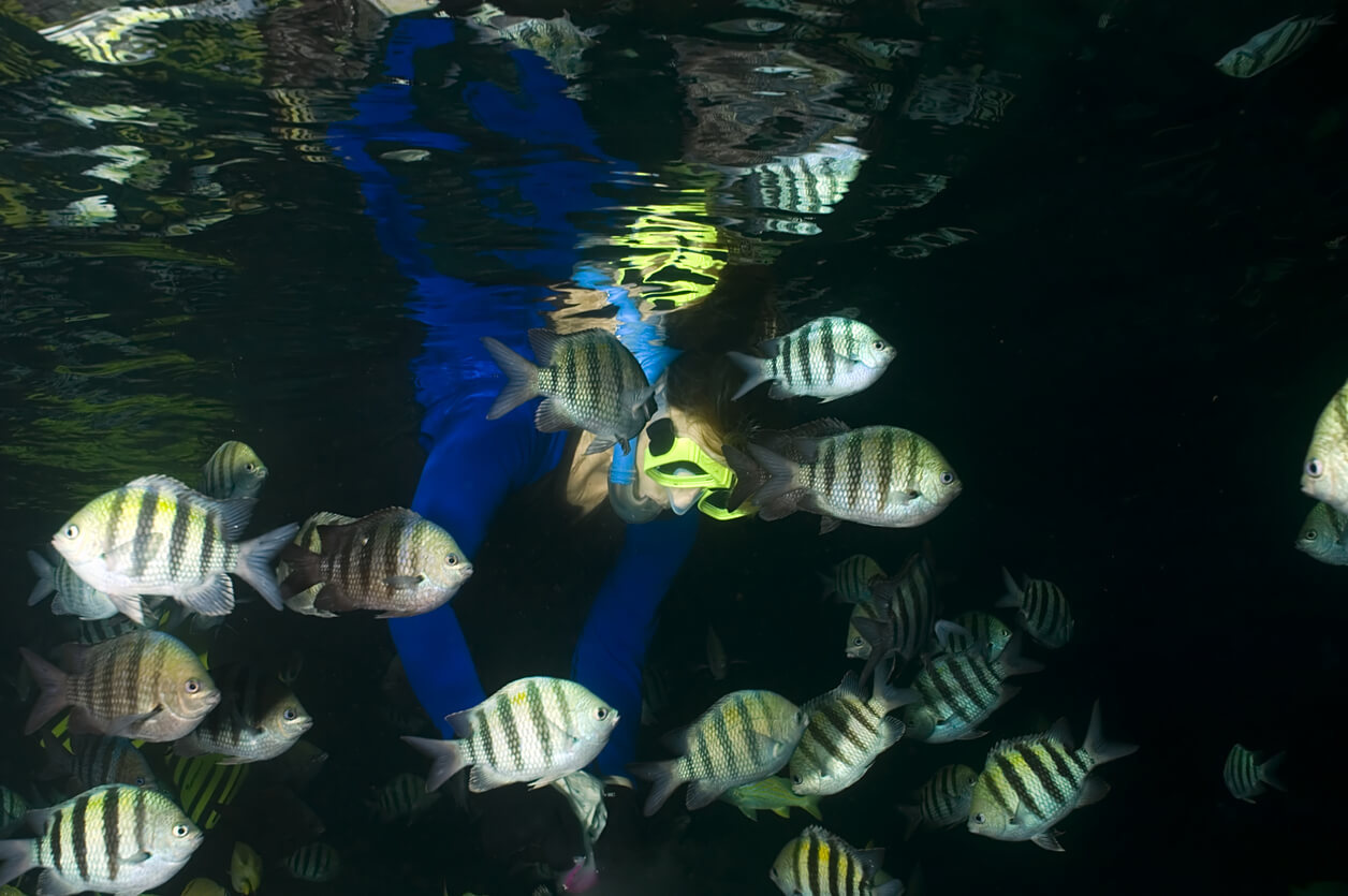 La grotte Thunderball