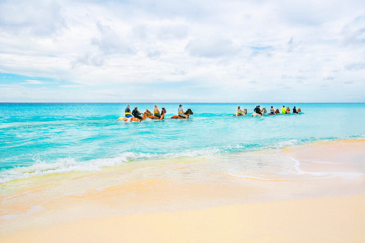 Promenade à cheval sur la plage (Nassau)