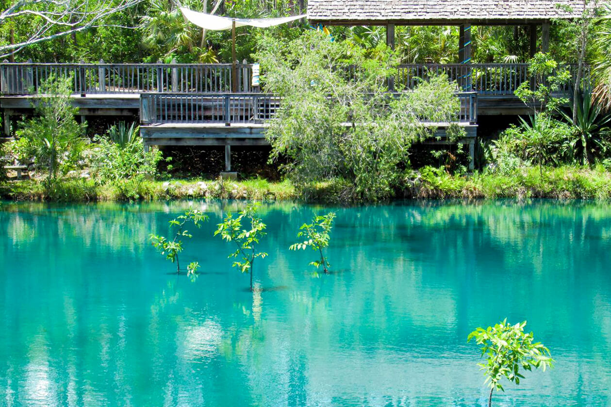 Rand Nature Centre (Freeport)