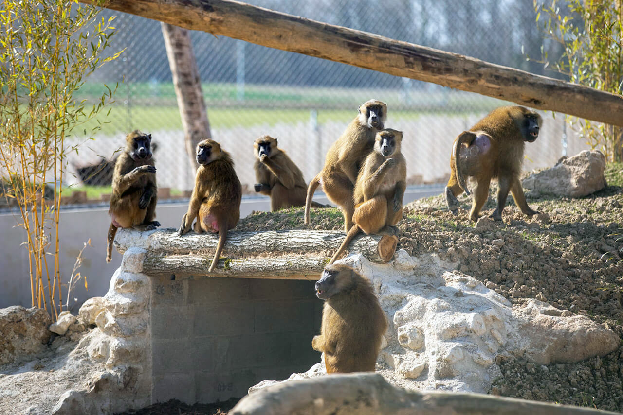 Zoo-refuge de la Tanière