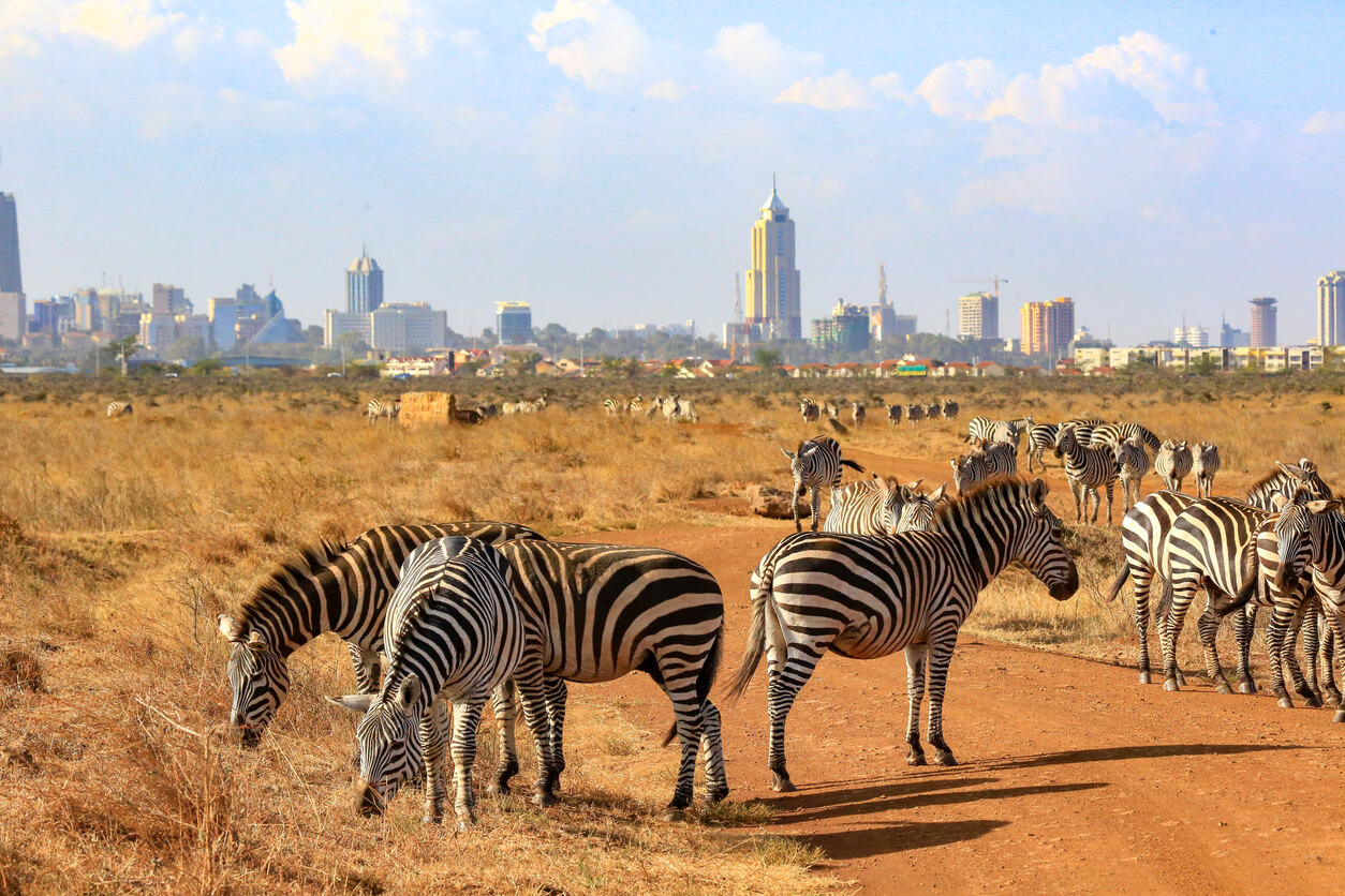 voyager au kenya depuis la belgique