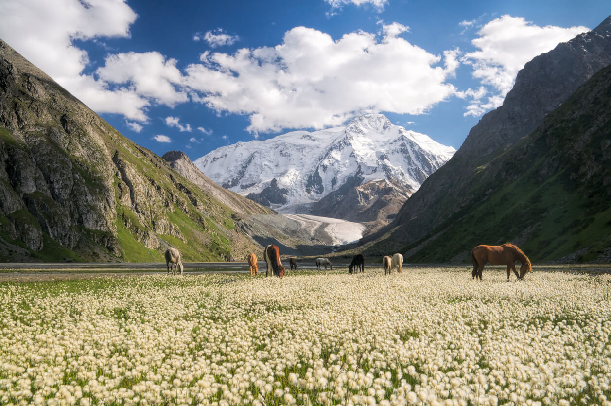Karakol