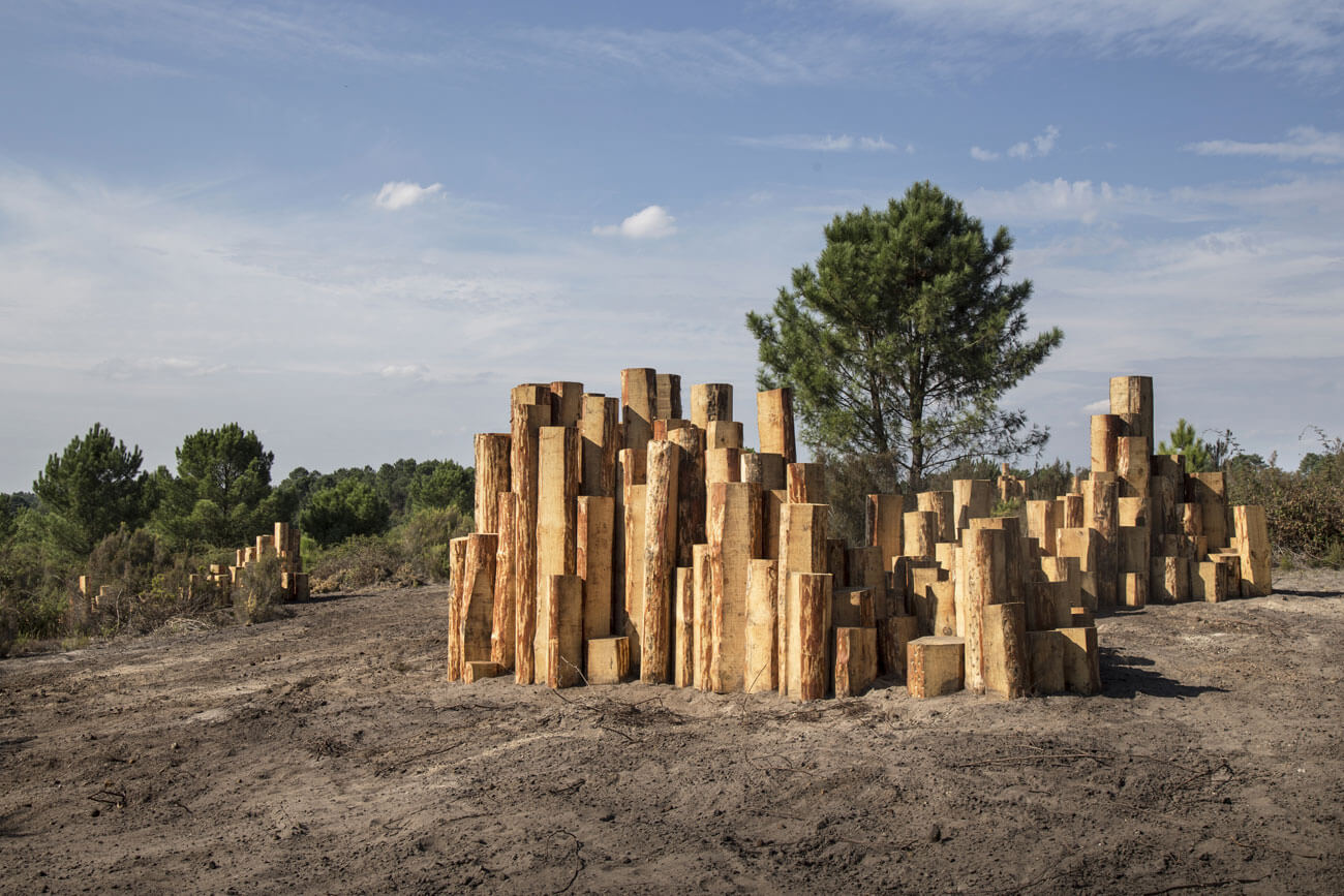 Forêt d’art contemporain