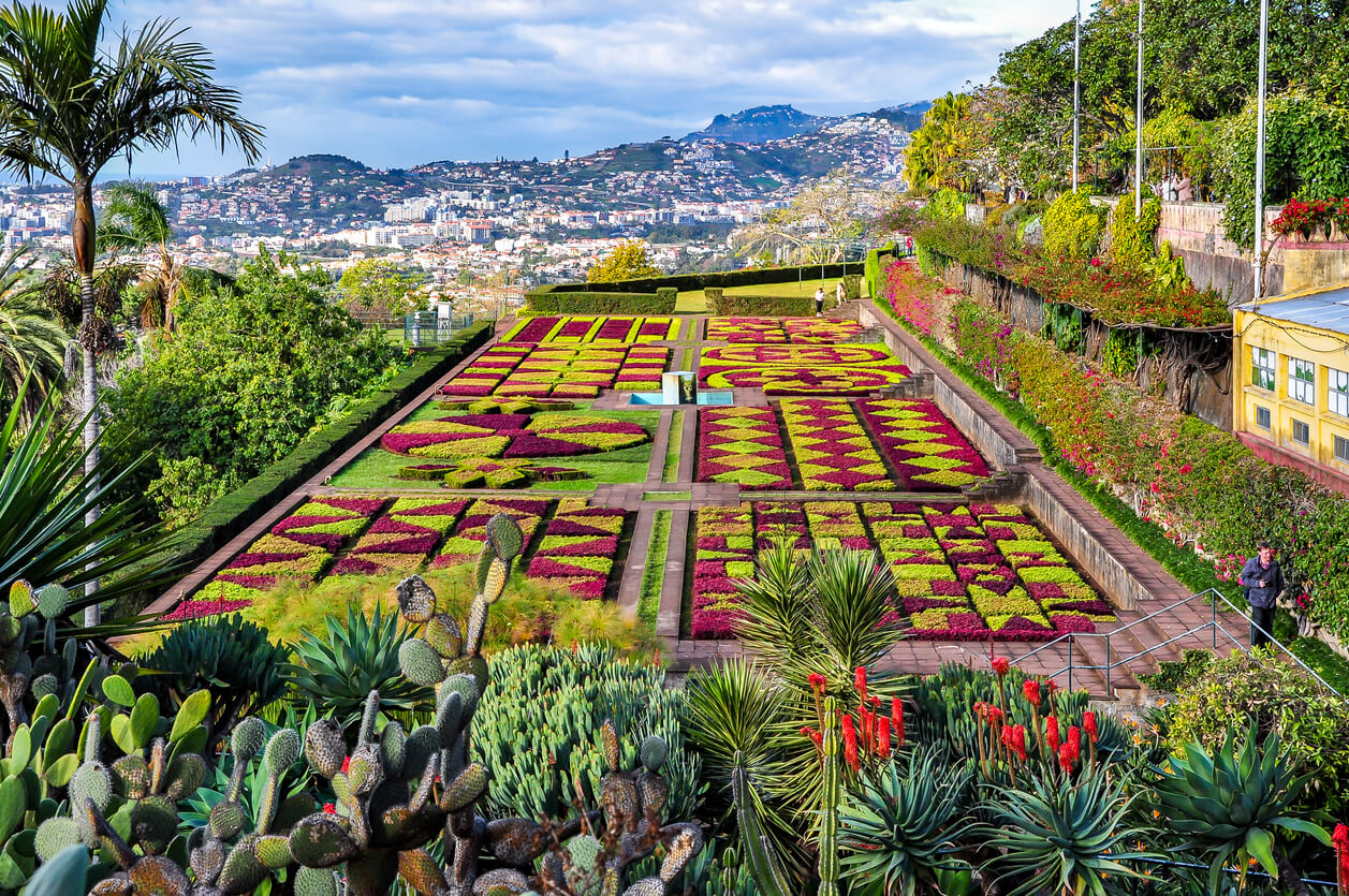 Le jardin botanique de Madère